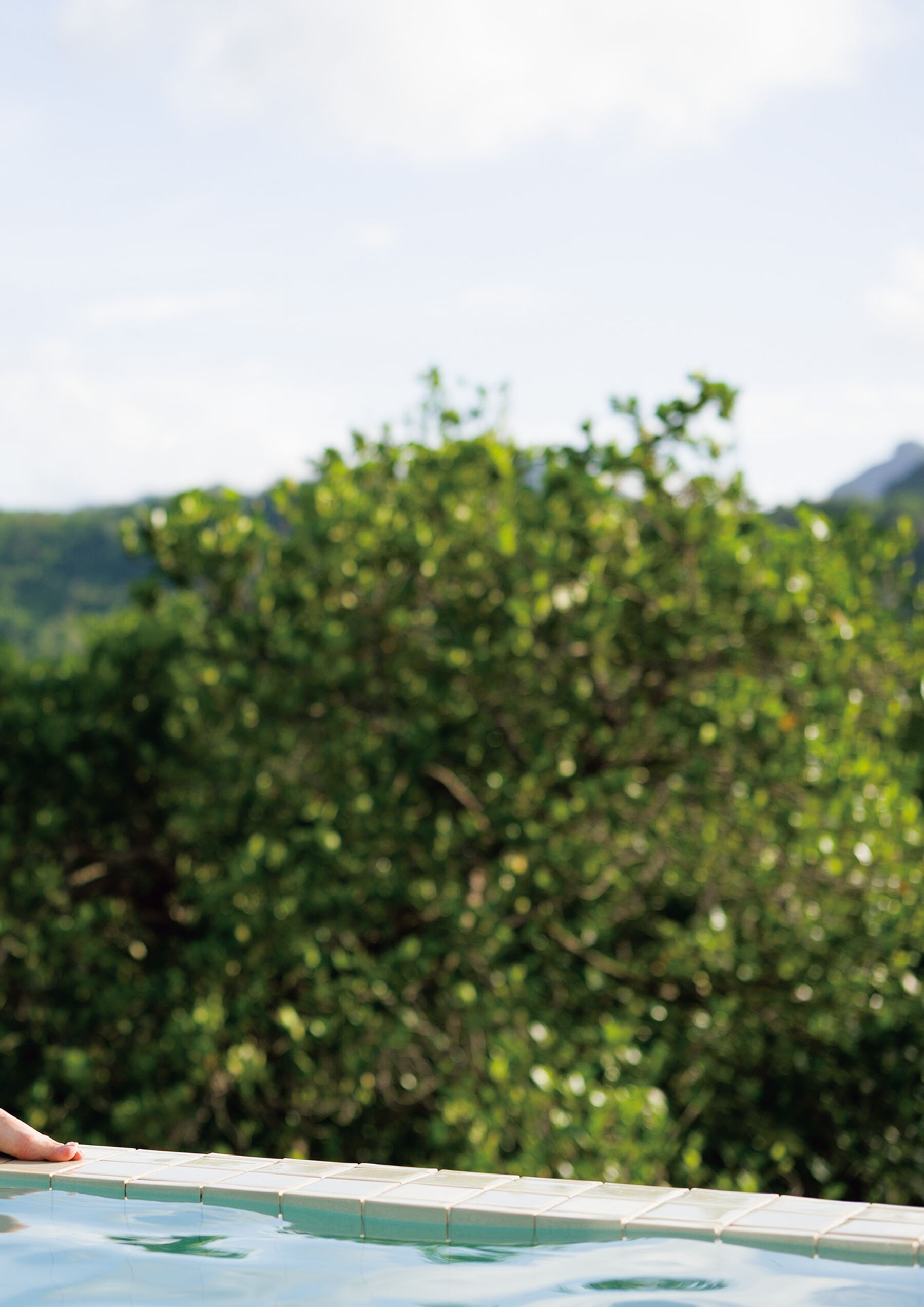 山岸逢花《斐色》