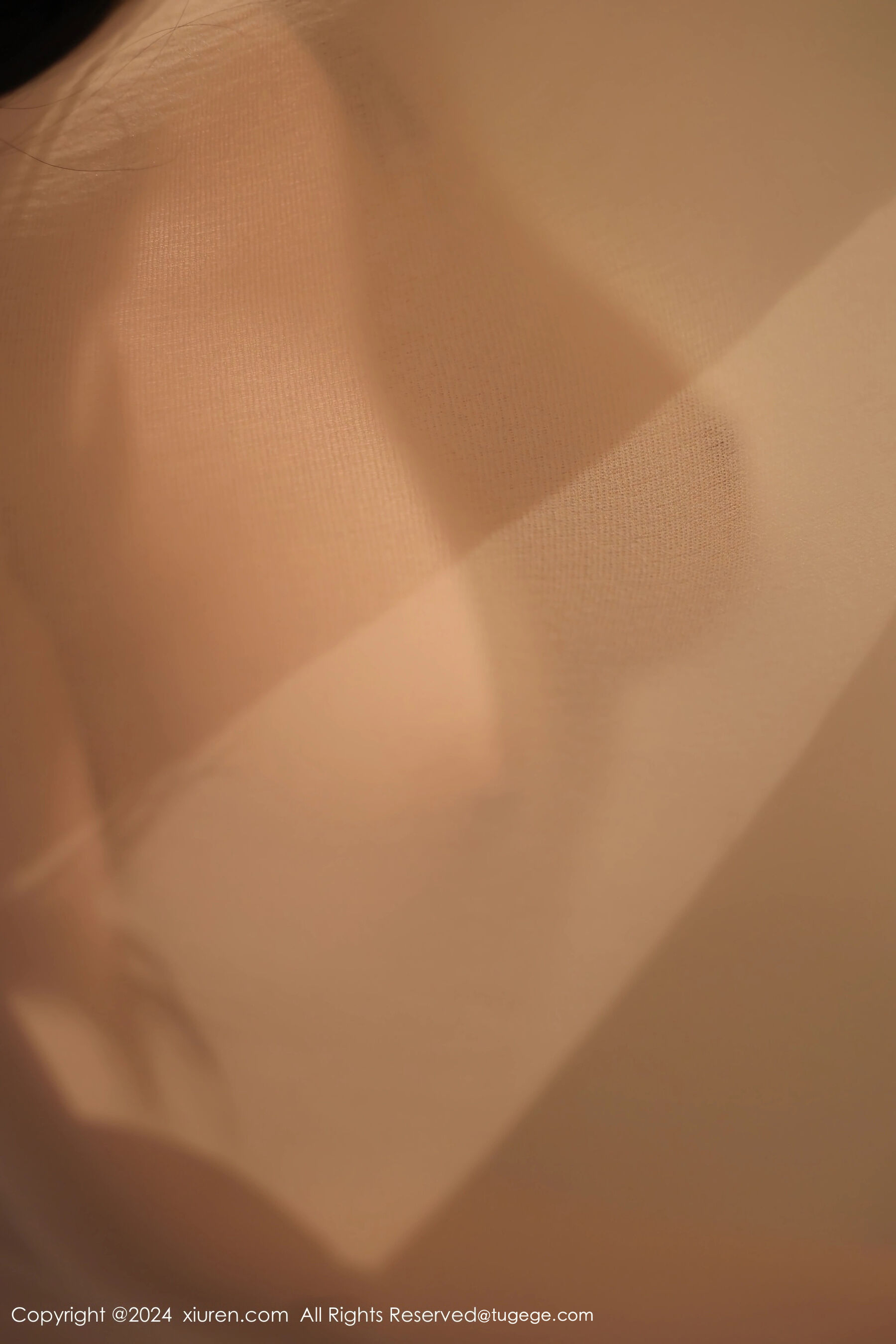 Vol. 9073 袁圆 | Page 3