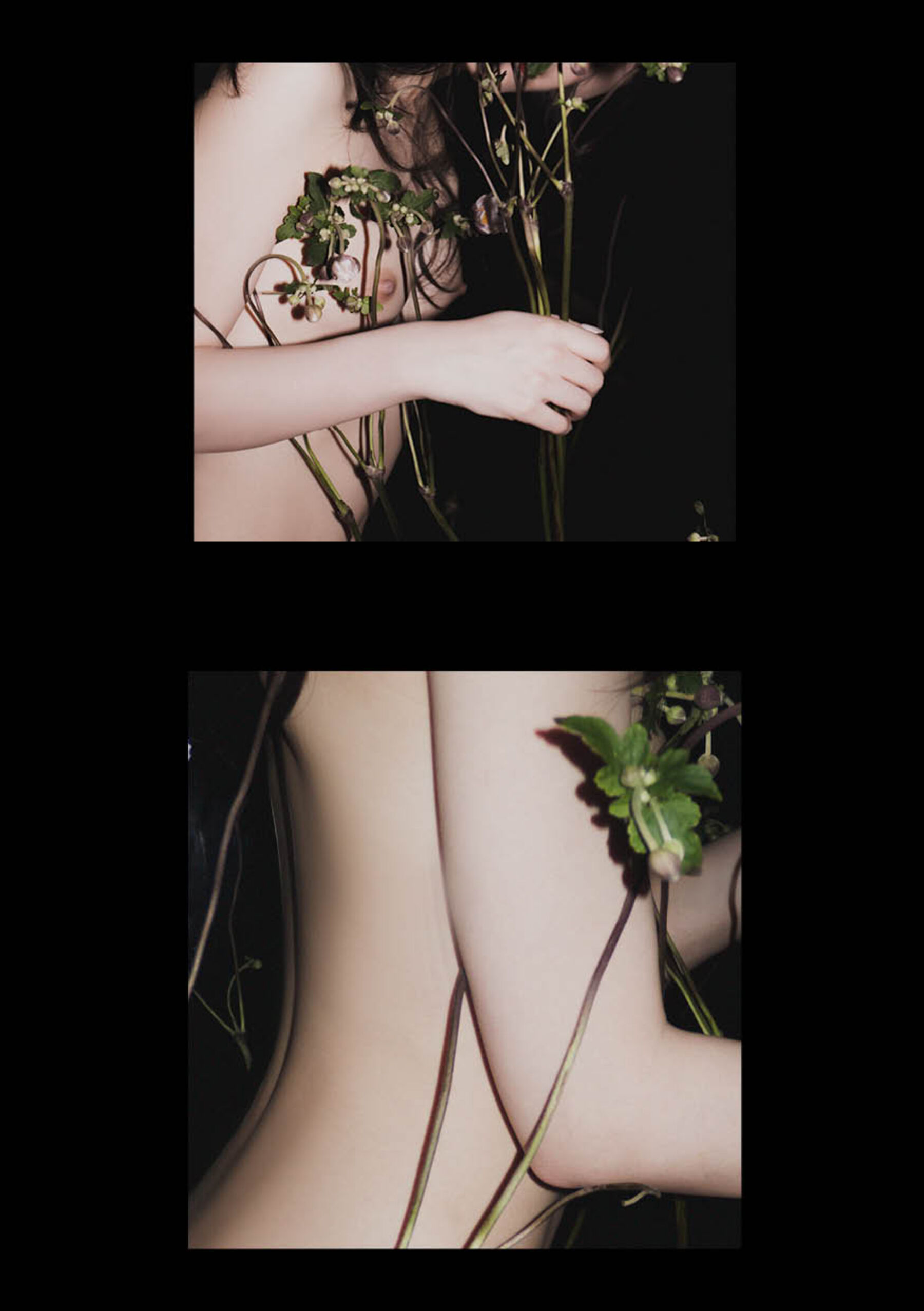 蓝芽瑞季 | Page 5