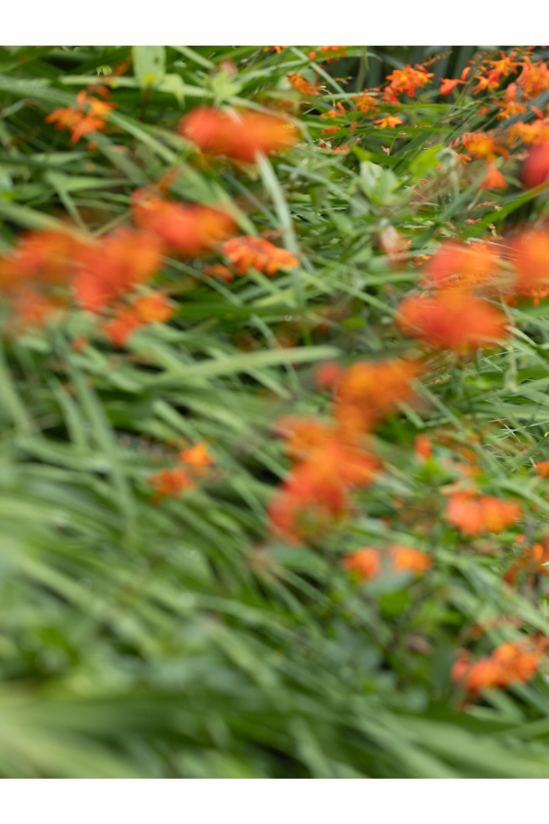 泷本雫叶《Naturally Another Cut》 | Page 5