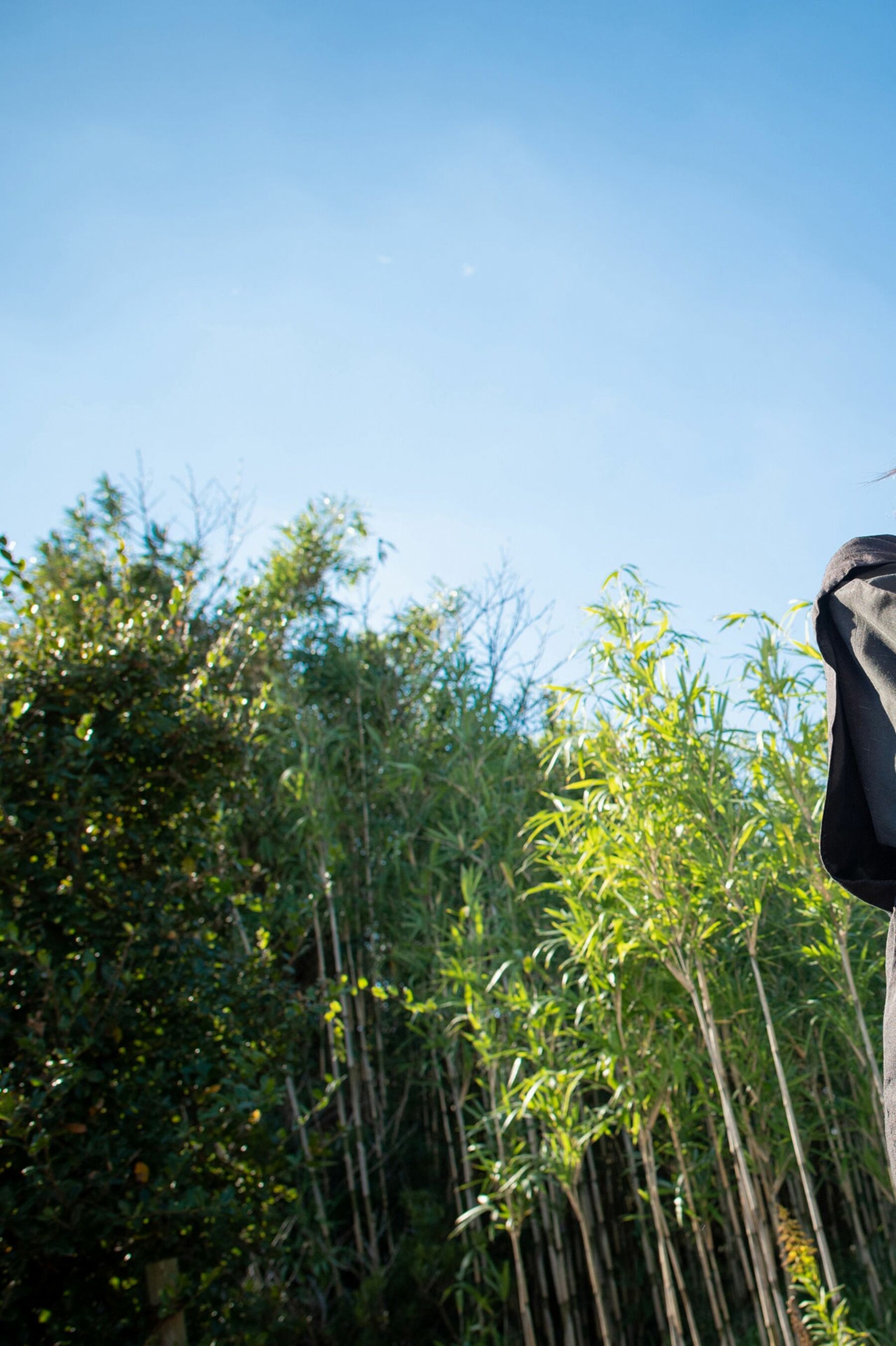 枫芙爱《实写版柳生裸真剣》 | Page 2