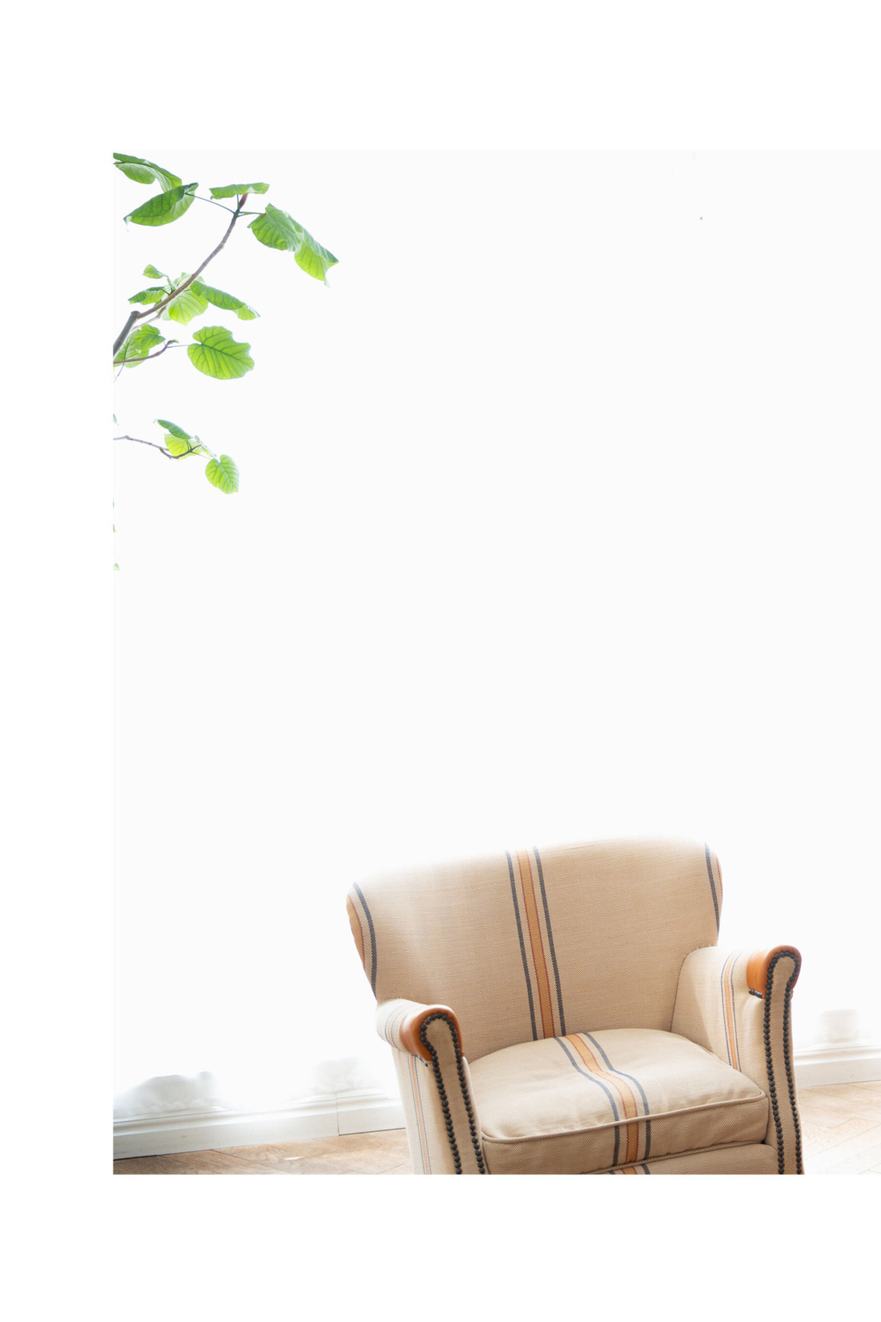 泷本雫叶《Only One ANOTHER CUT》 | Page 2