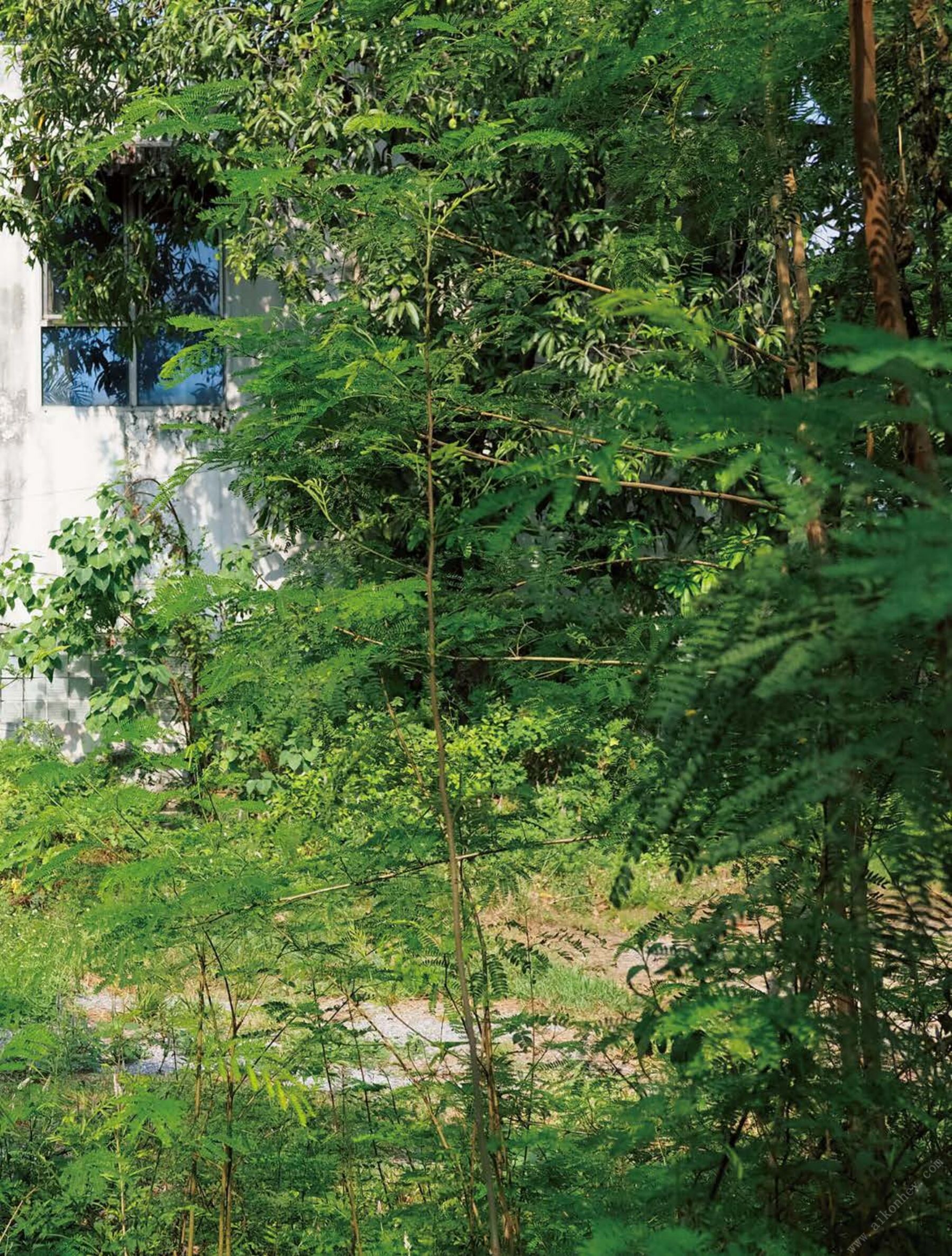 葵司《AS I AM あるがままに》