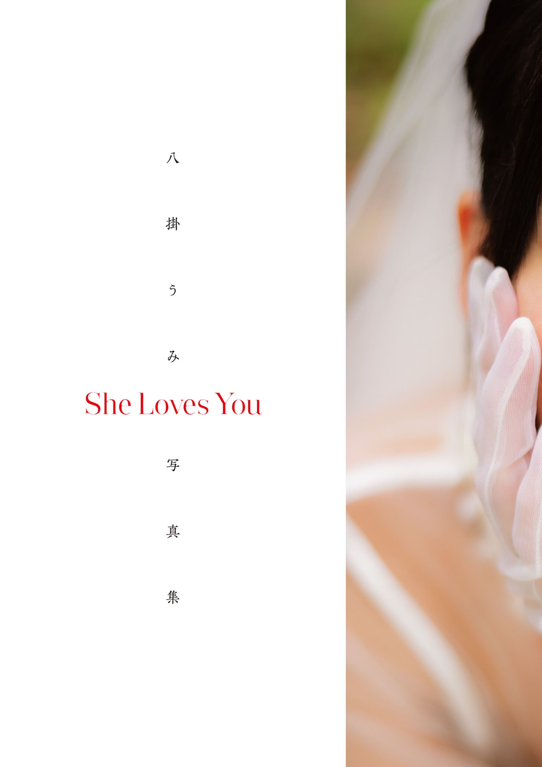 八挂海《She Loves You》 | Page 2