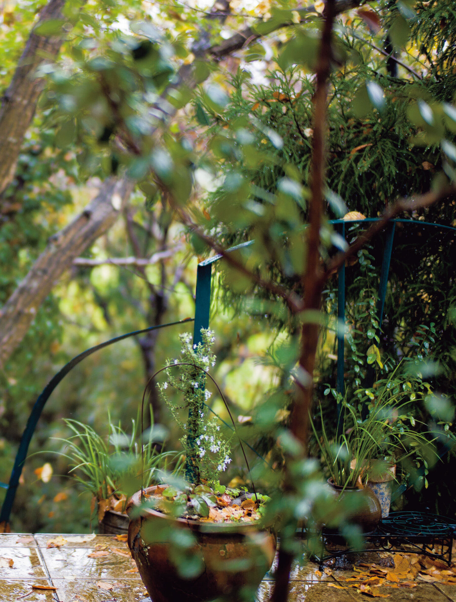 彩美旬果《いっぱいのさよなら》 | Page 5