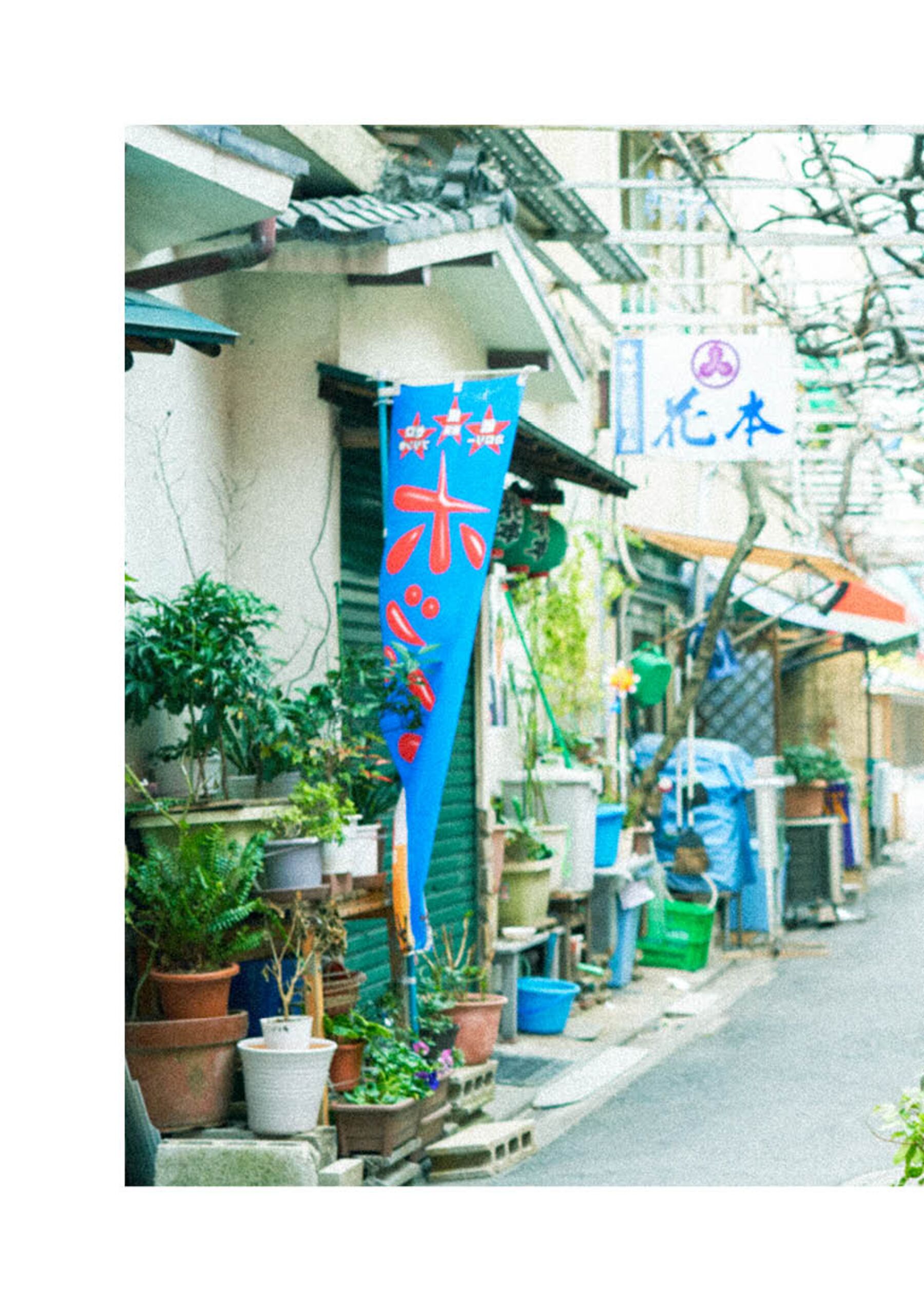 水卜樱《girl meets street》 | Page 4