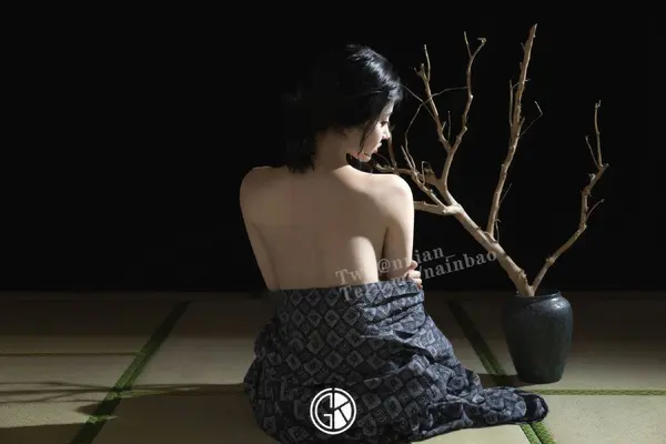 年年《碟之梦》