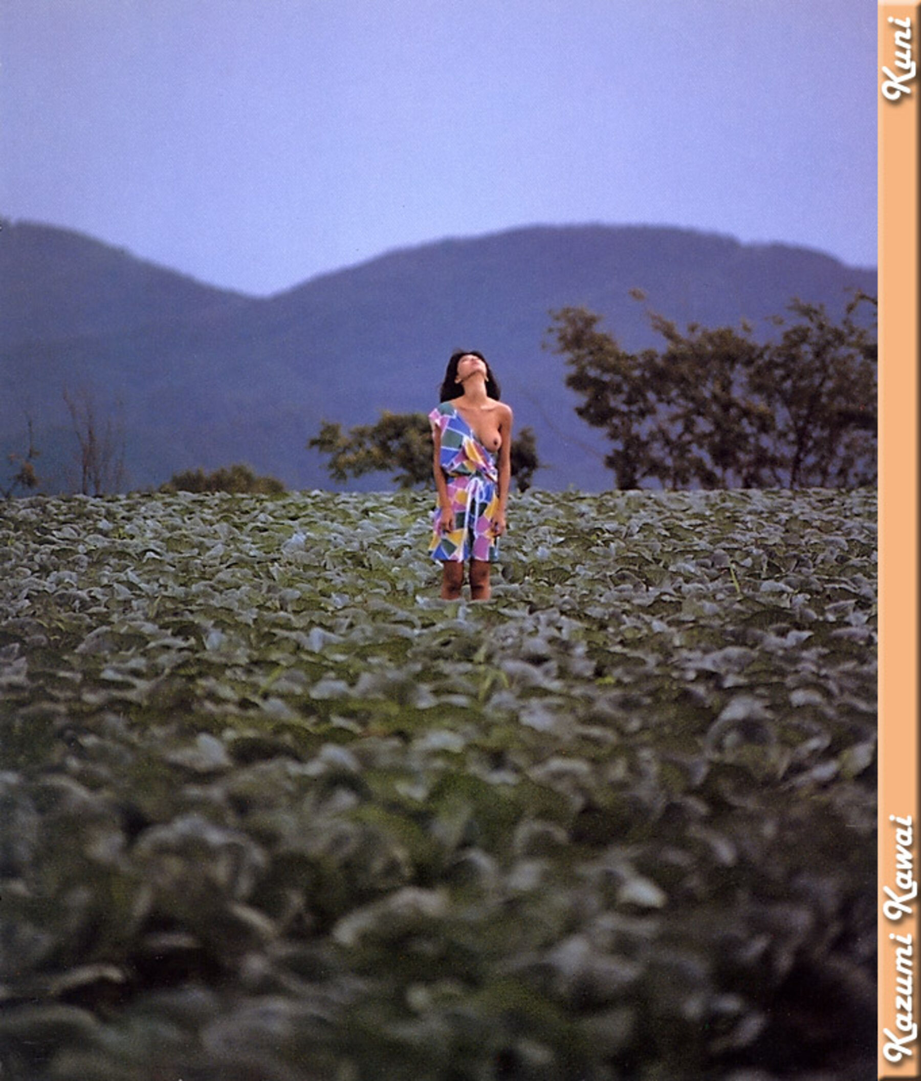 可爱和美 | Page 2