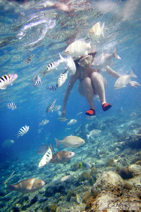 吉崎直绪《HAPPY ISLAND》 | Page 3