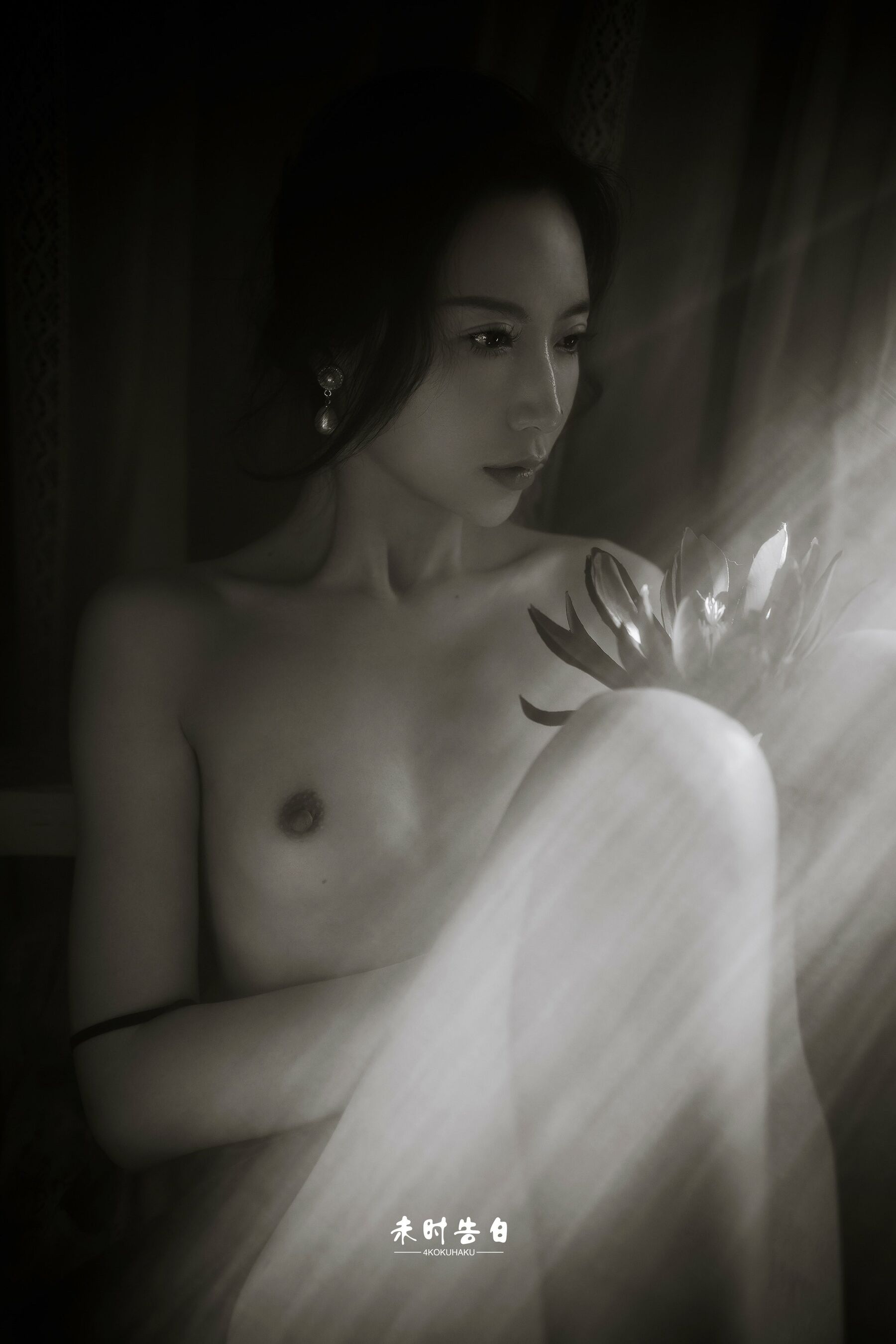 摄影师未时告白作品集