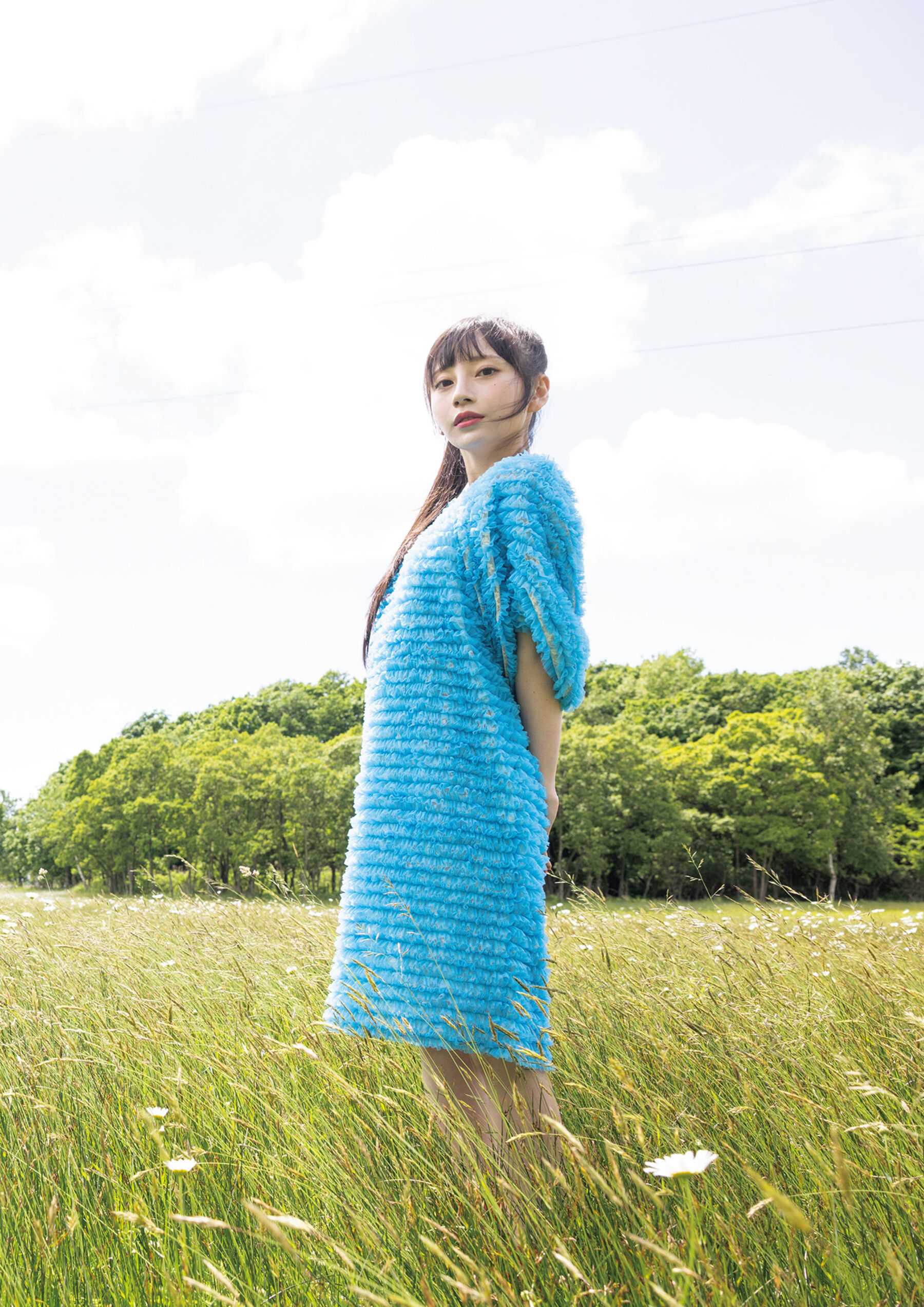 七泽米亚《evergreen》