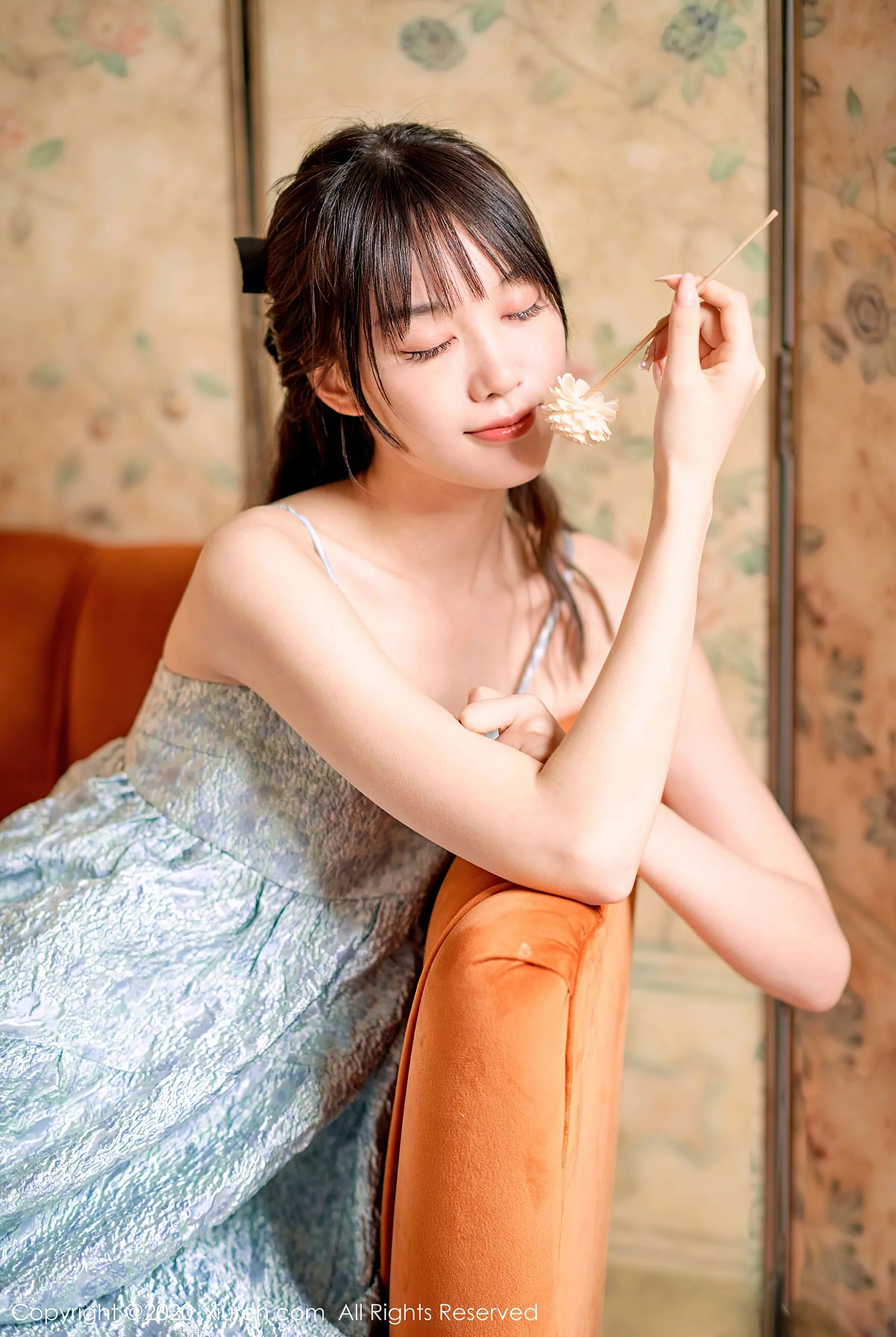 Vol. 2533 尤其