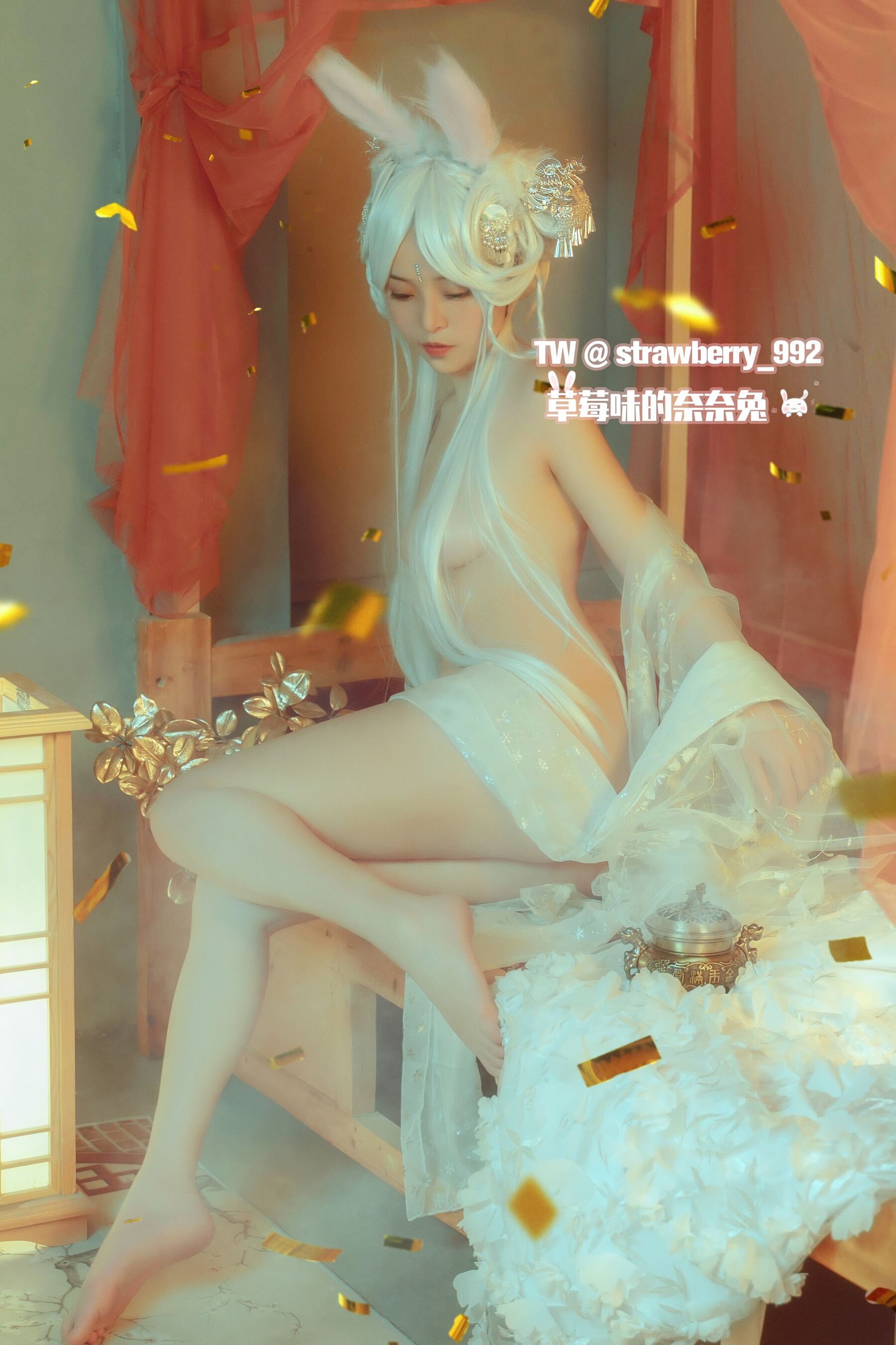 草莓味的奈奈兔《幻》