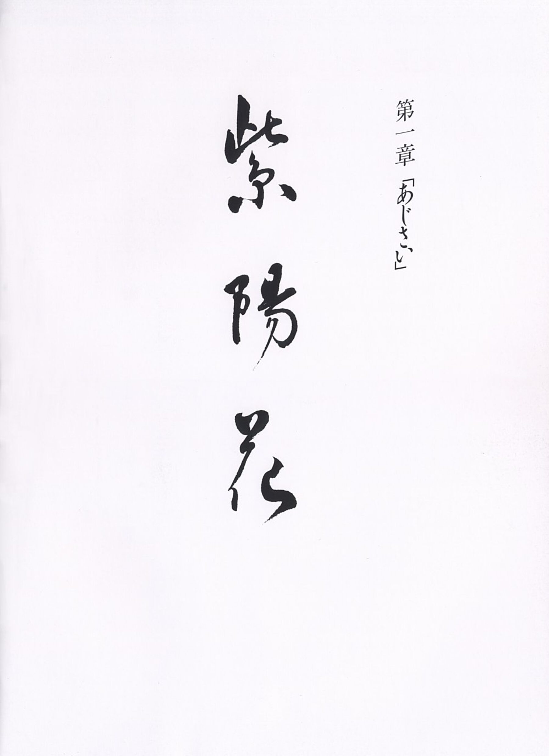 小松美幸《乳房像》