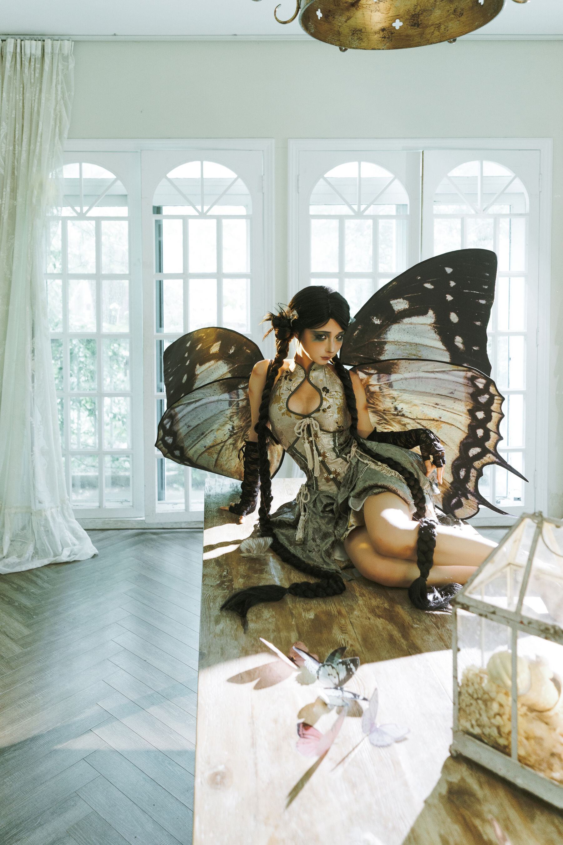 蠢沫沫《枯叶蝶》