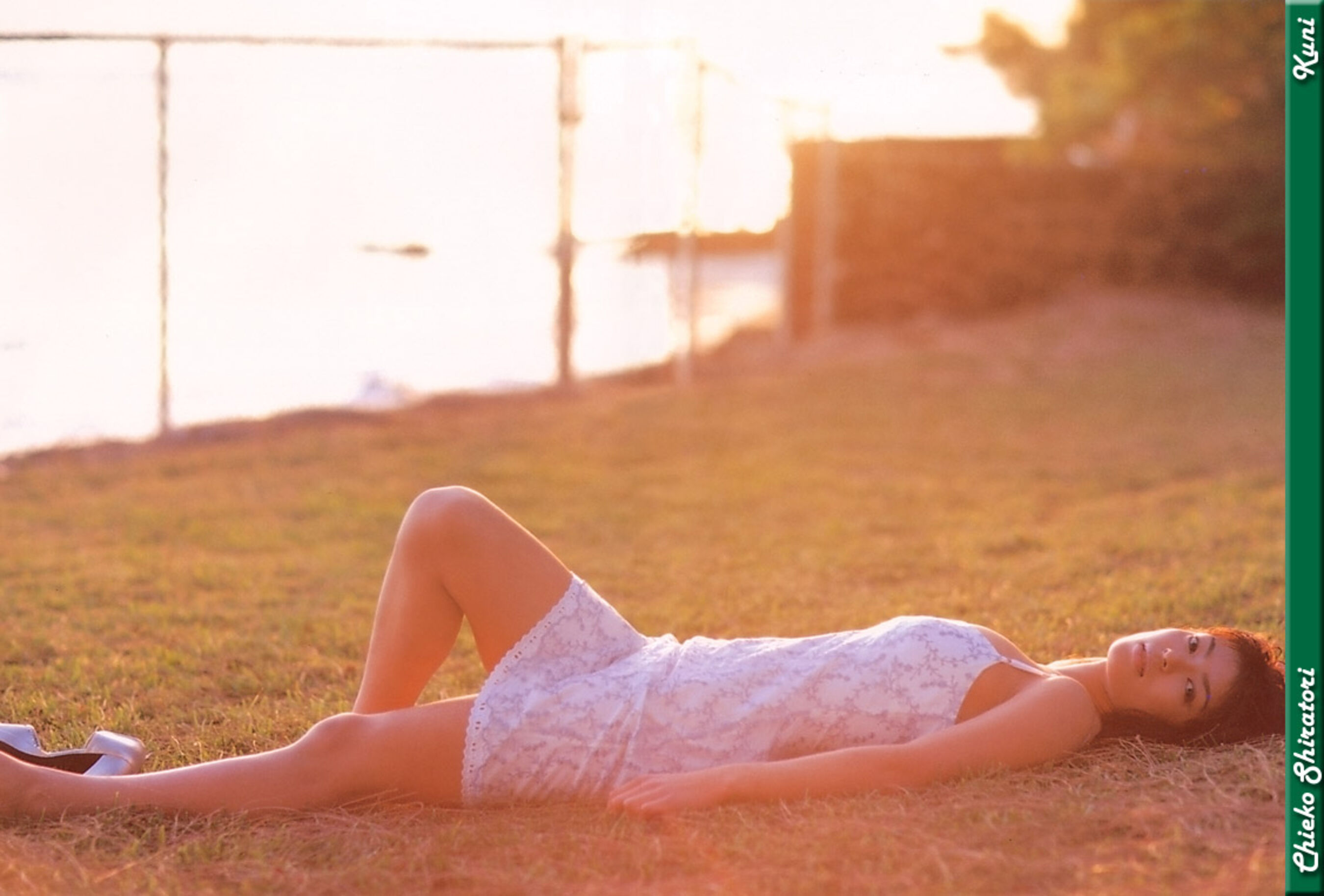 白鸟智惠子 | Page 2