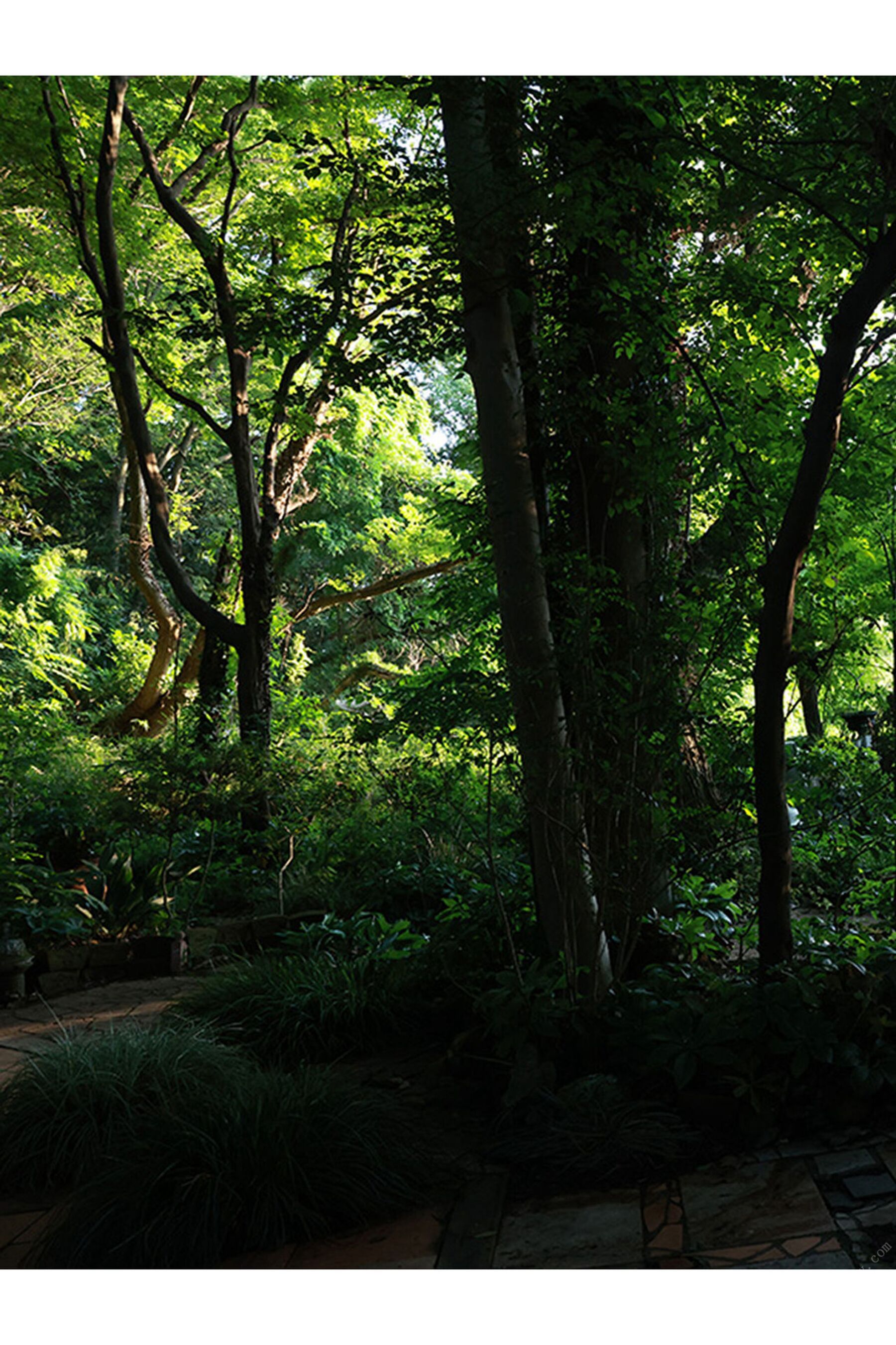 8woman blanc | Page 4