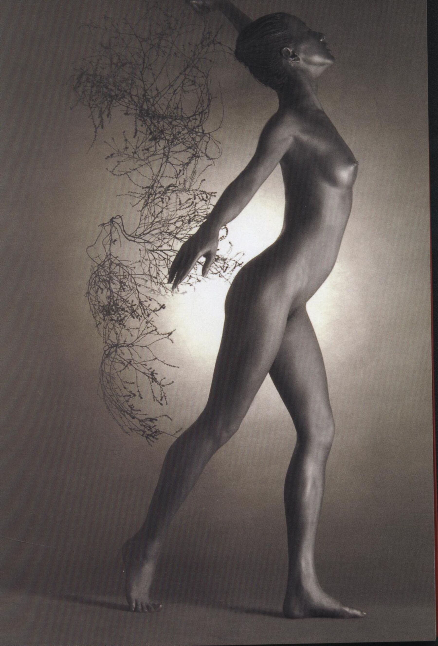 汤加丽写真 | Page 4