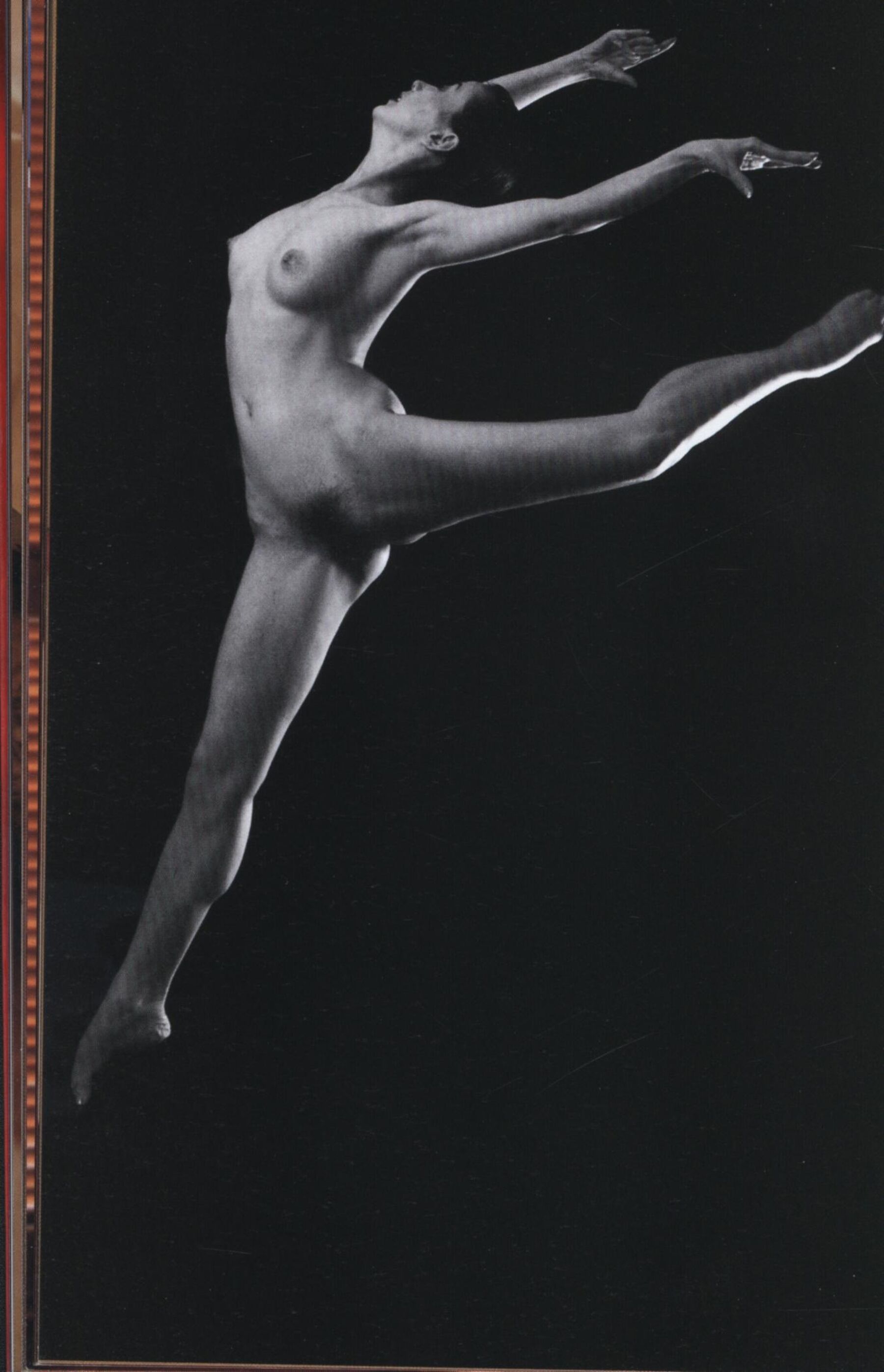 汤加丽写真 | Page 5