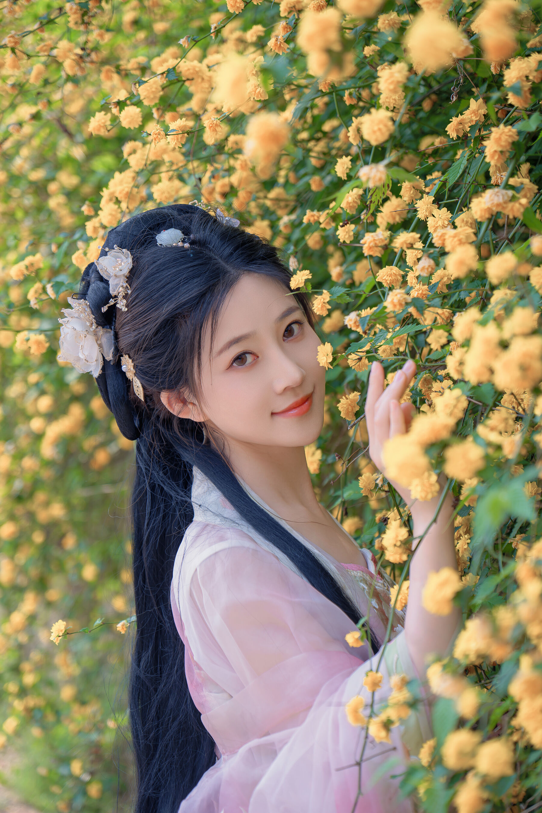 年年《海棠仙》 | Page 2