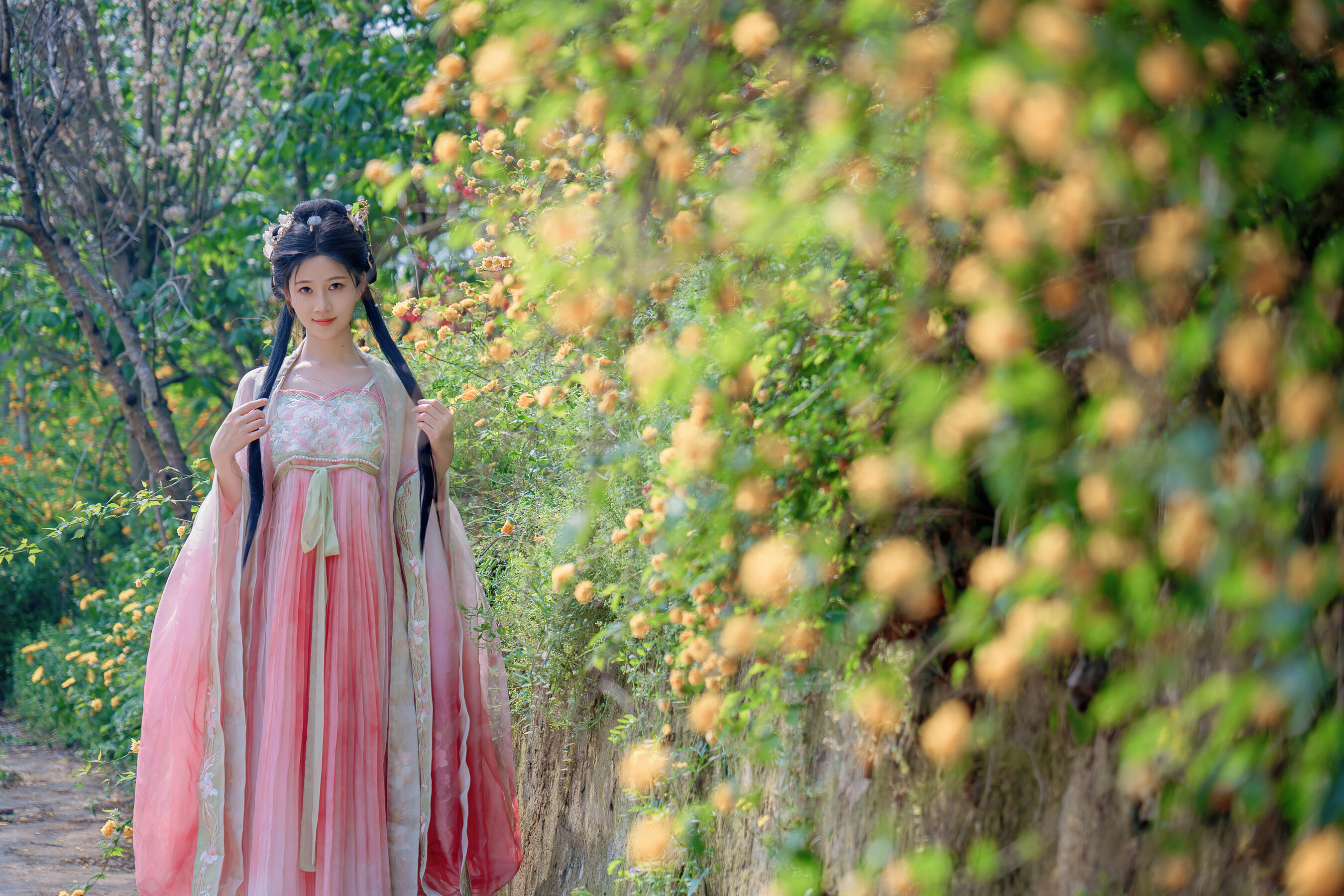 年年《海棠仙》