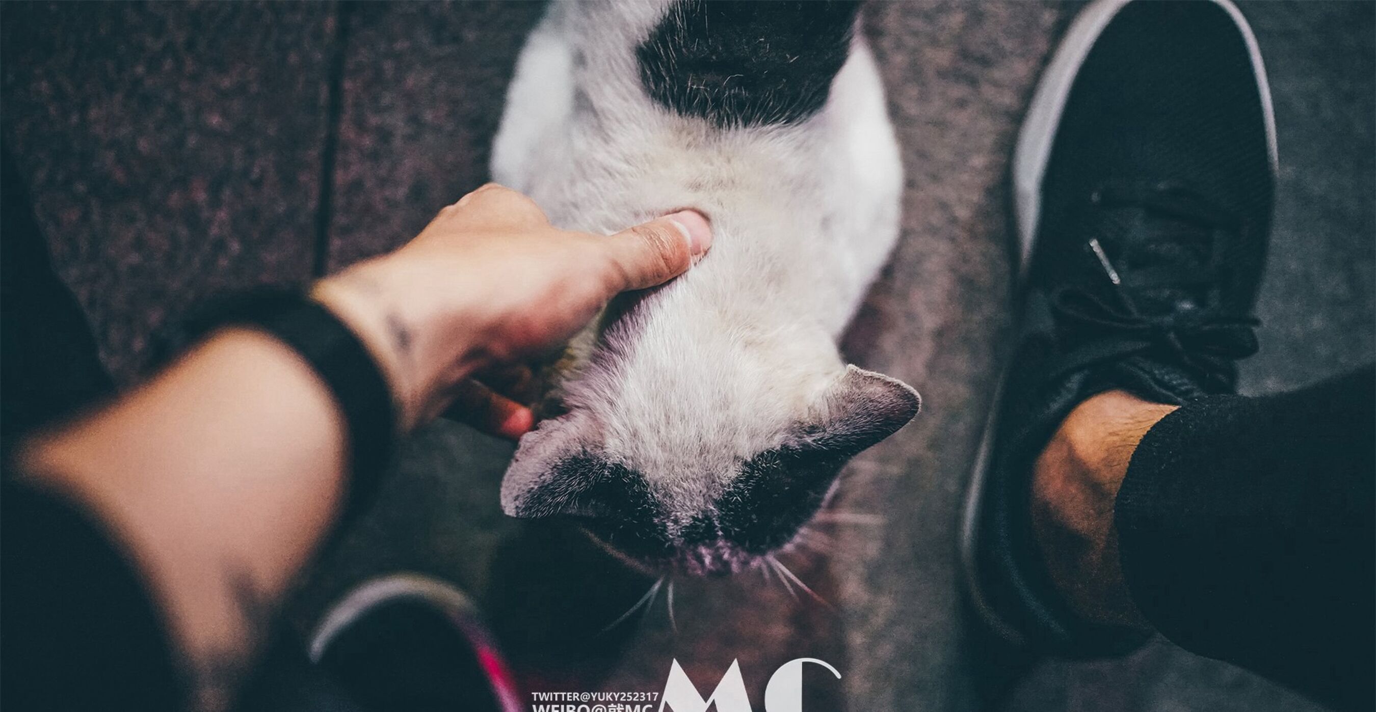 摄影师就MC 作品集 | Page 5