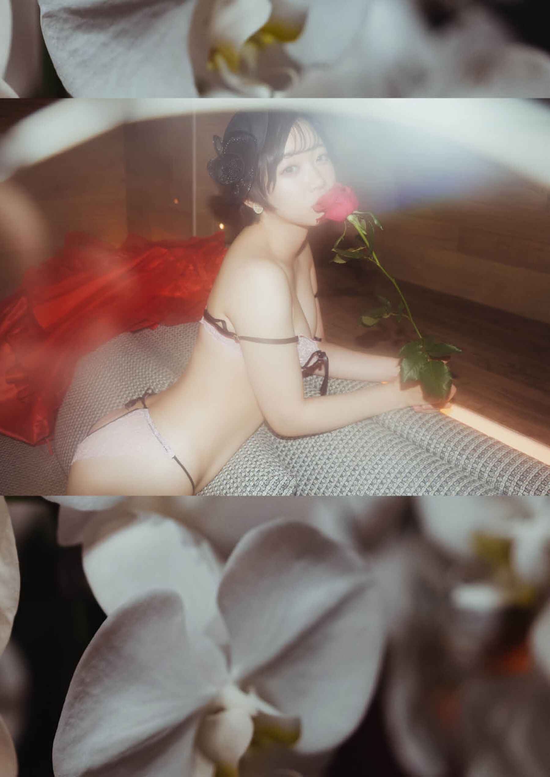 架乃由罗 #LadyMary