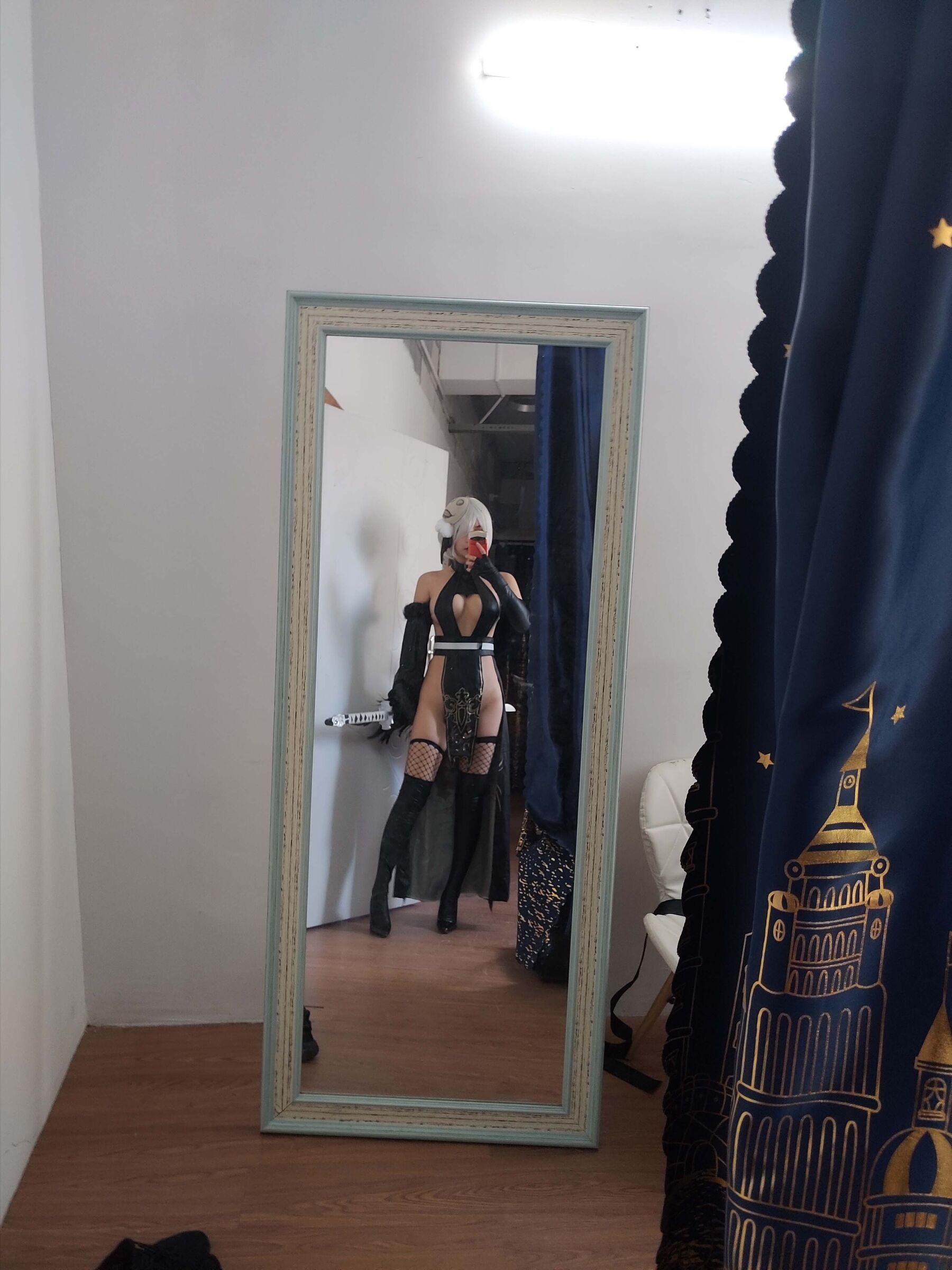 亚马逊鲶鱼《同人武士》