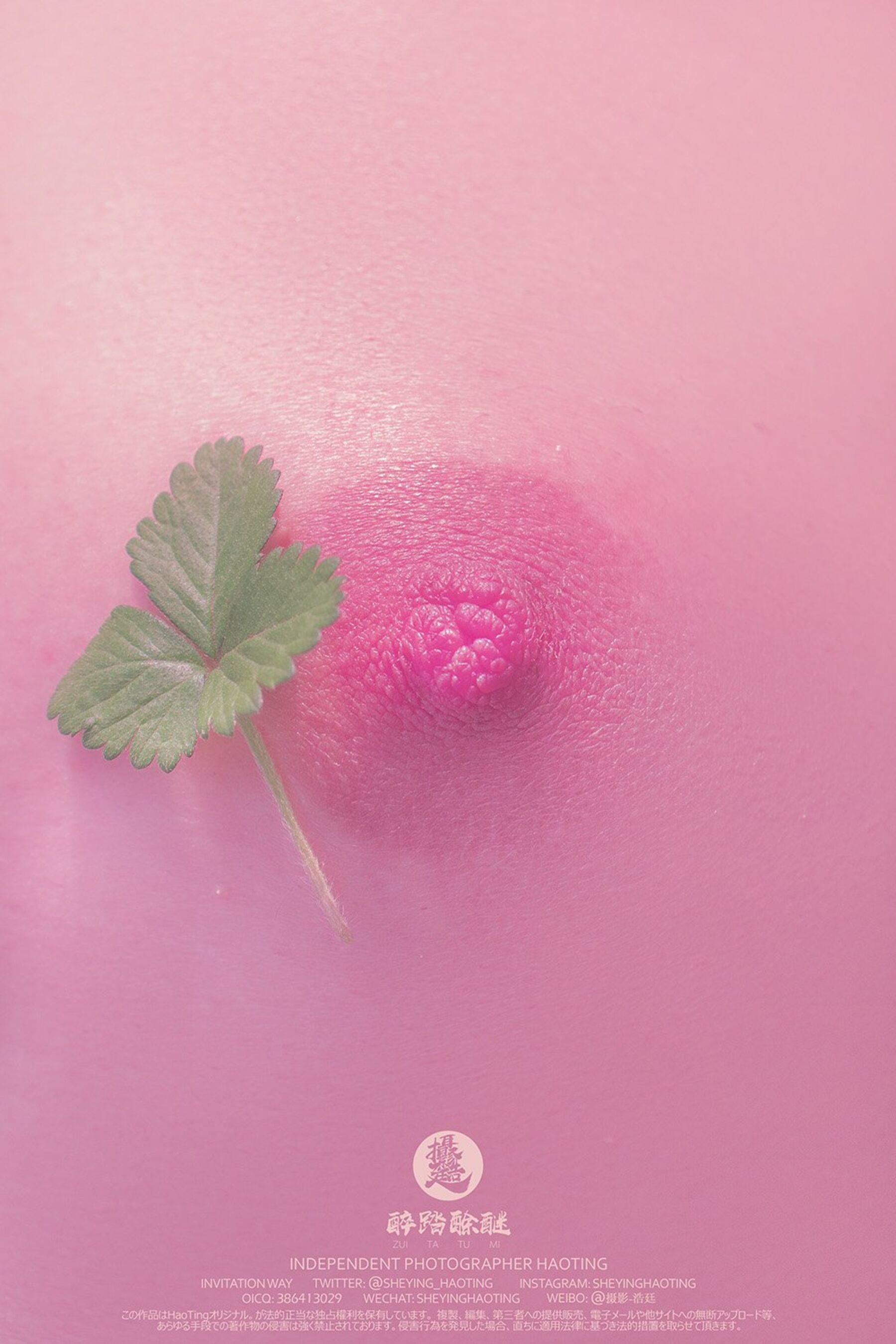 摄影师浩廷推特合集