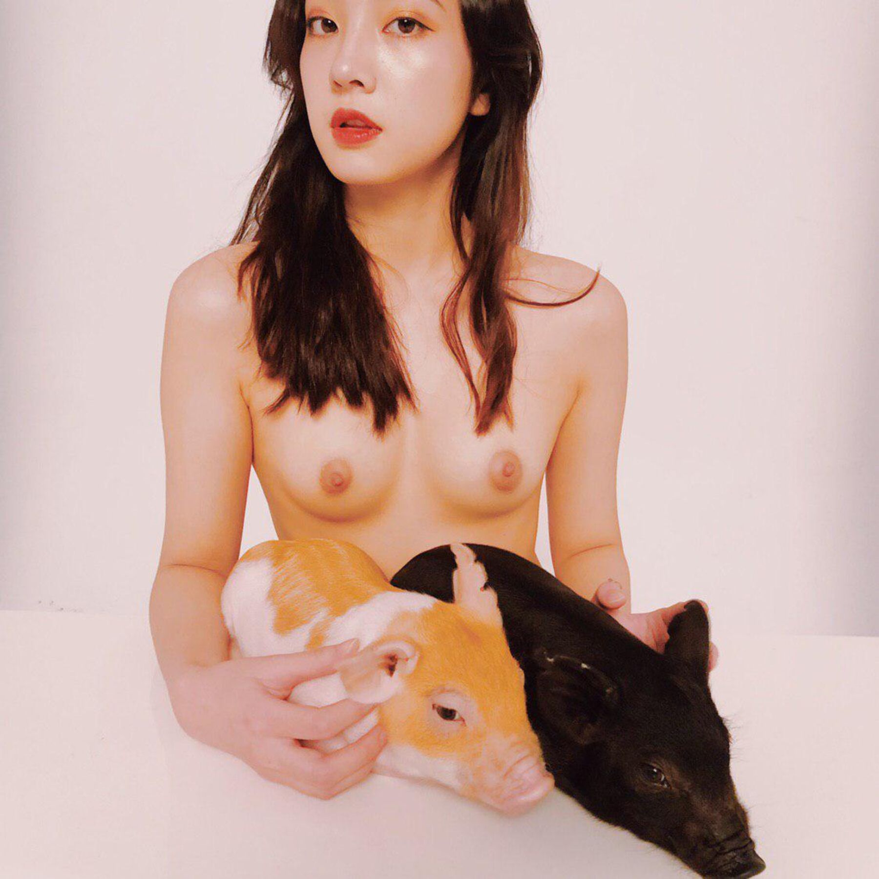 婕哥《猪年新春特辑》