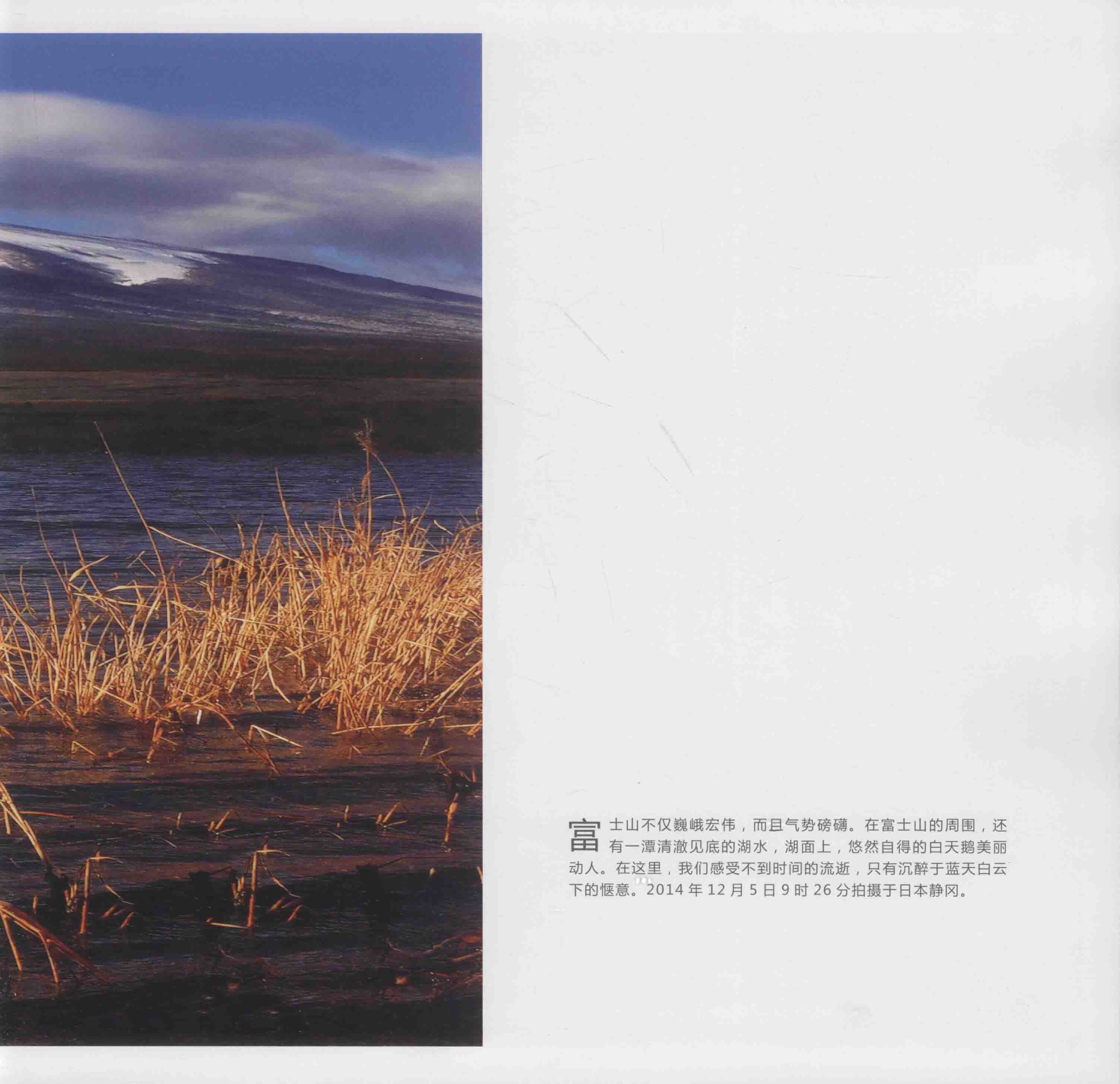 人与自然 超现实主义宣言 | Page 4