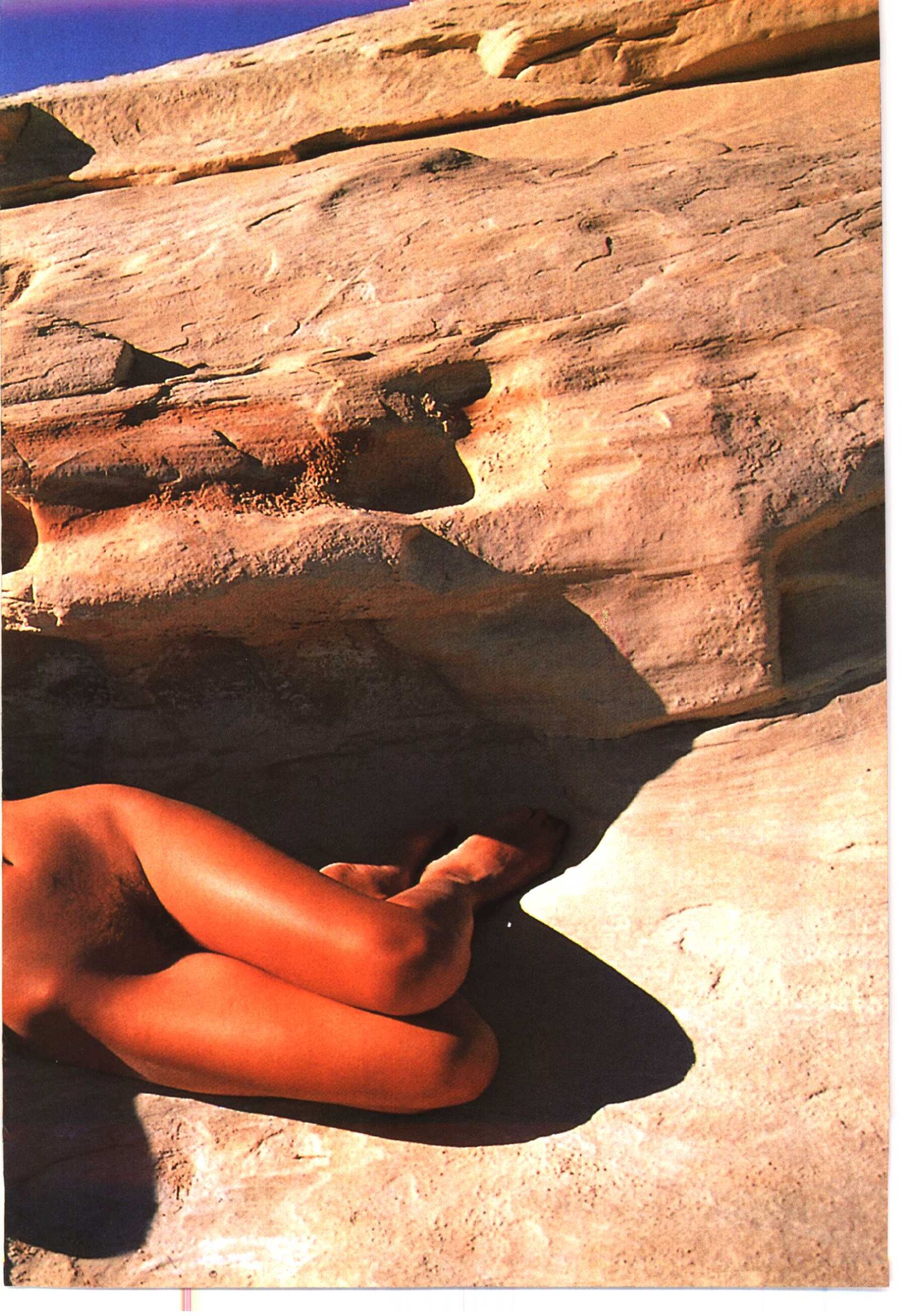 人体·自然·艺术（中册） | Page 3