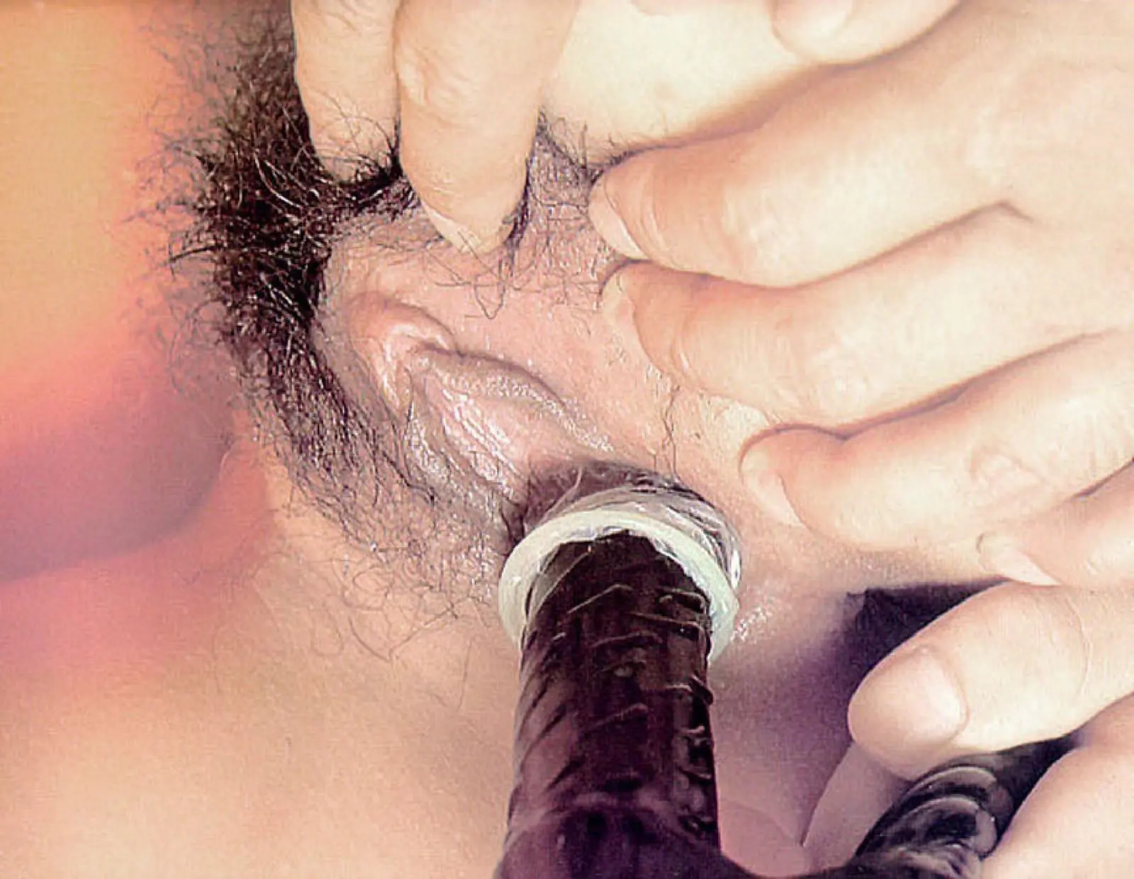 Dynamic（1982-01-01）