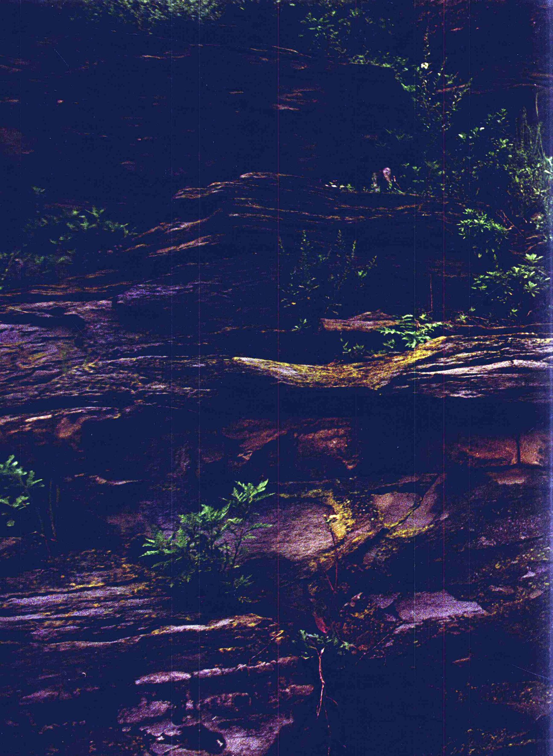 中国人体摄影艺术经典·人体与自然 | Page 4