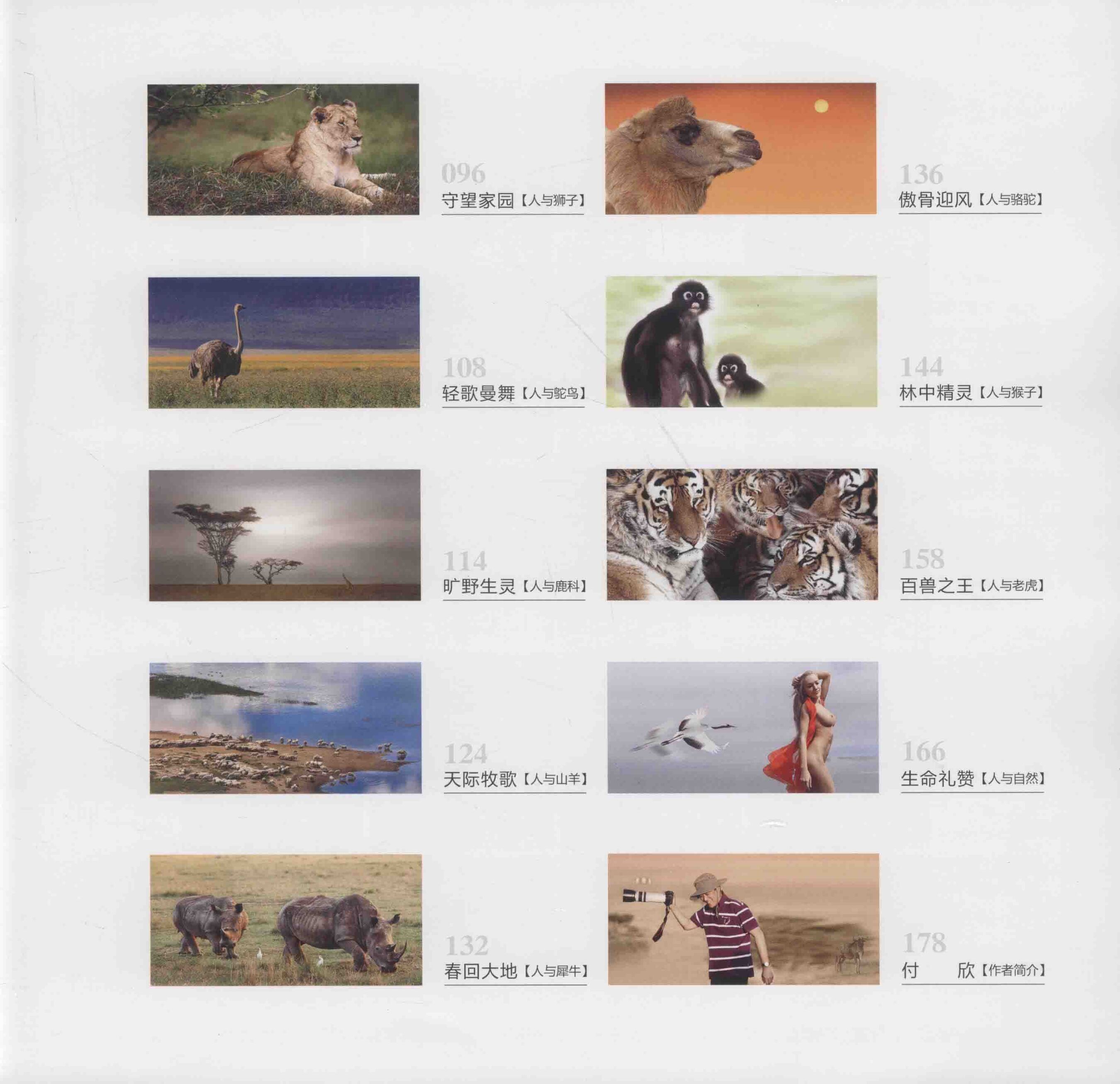 人与自然 超现实主义宣言 | Page 2