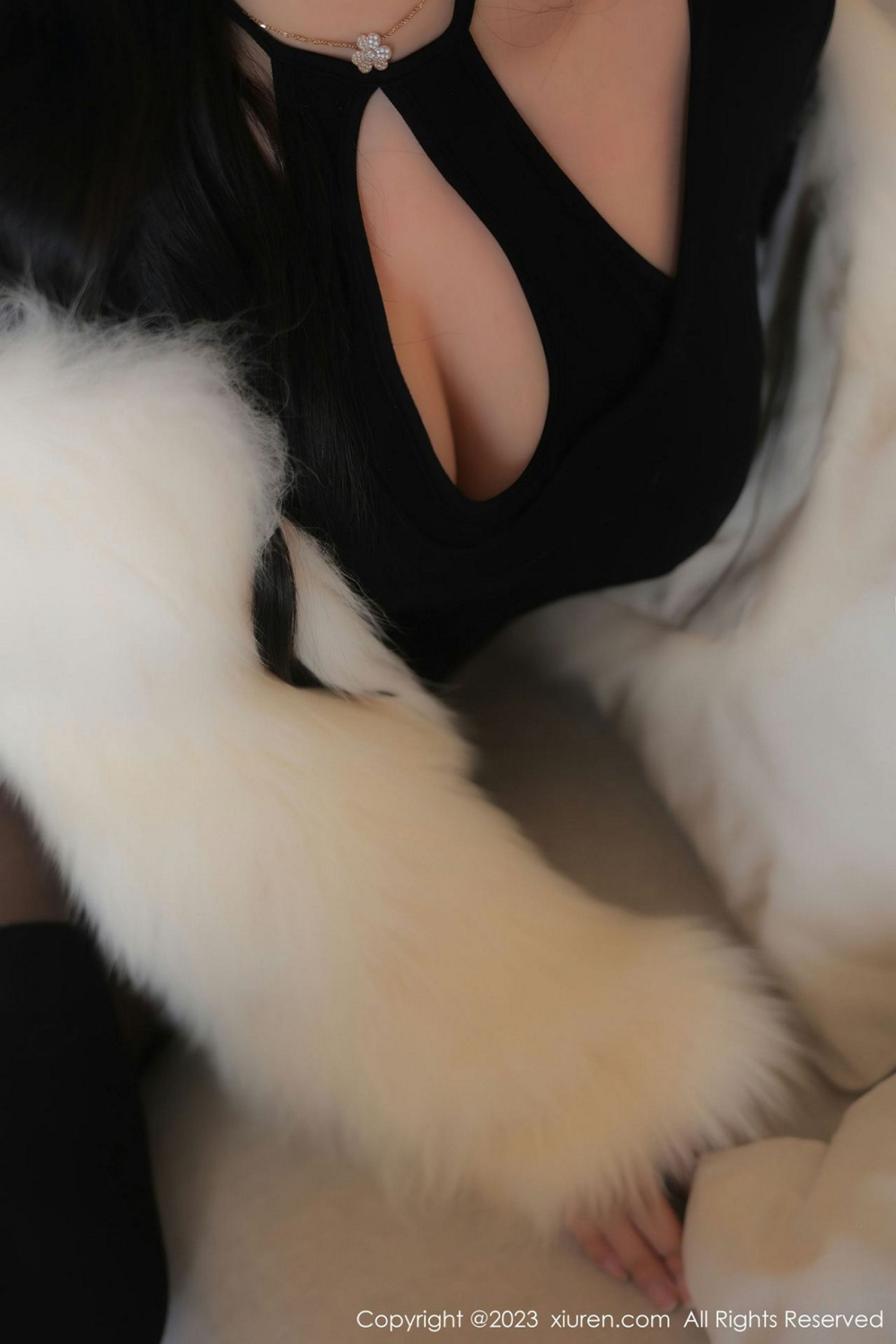 Vol. 6212 林珊珊