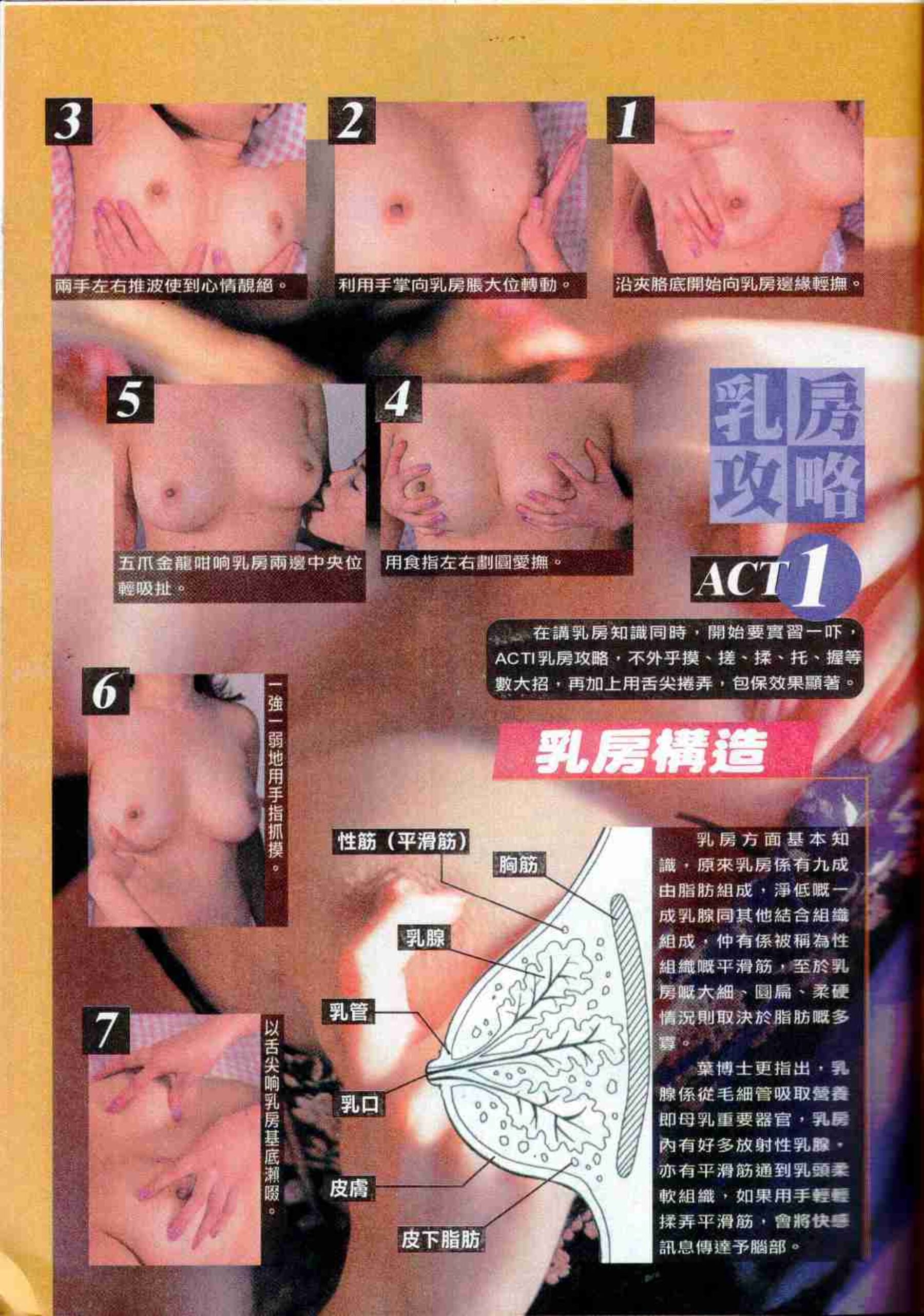 Vol. 330 经典香港成人杂志《龙虎豹》