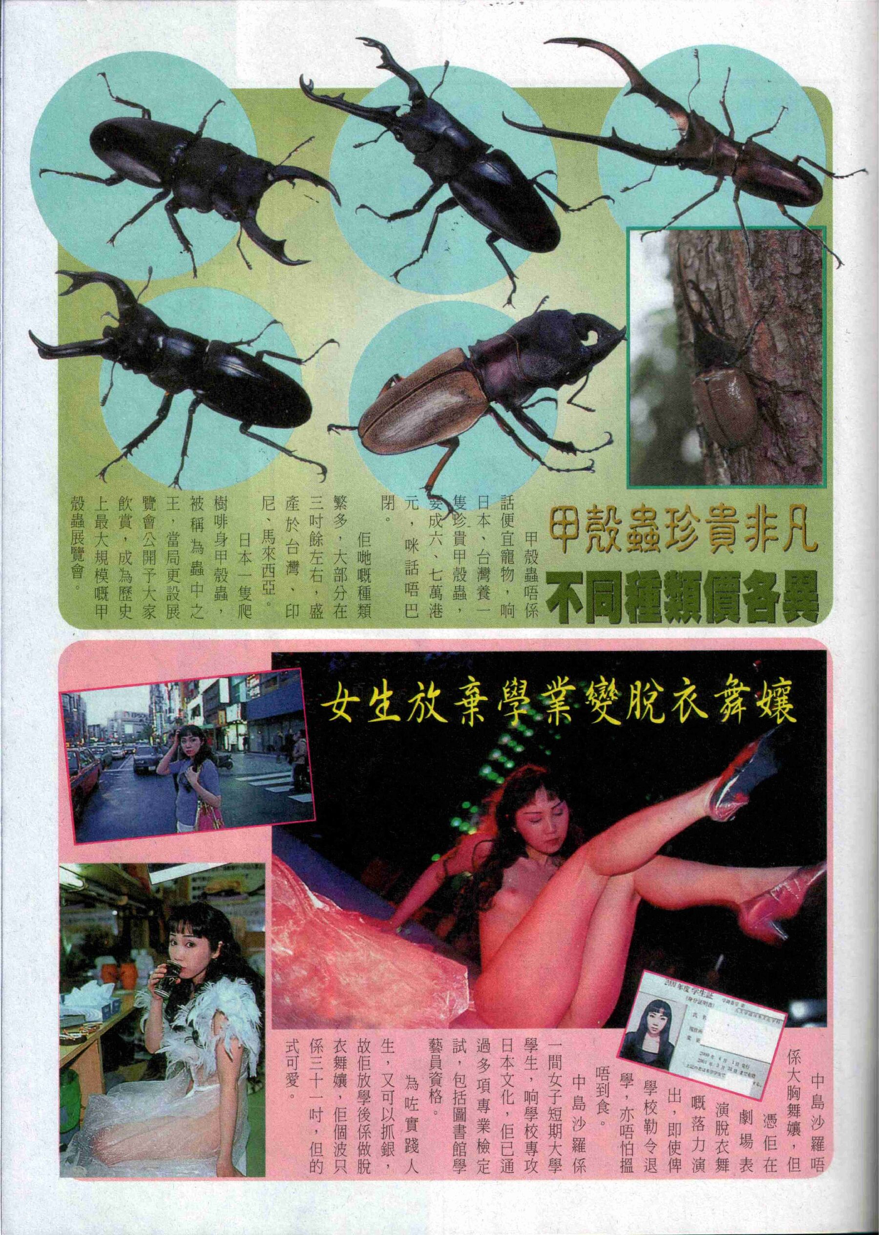 Vol. 298 经典香港成人杂志《龙虎豹》